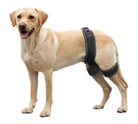 CHAMIN Dog Hip Orthotics Brace, Dog Hip Dysplasia Brace Harness, Support for Hip Dysplasia, Luxating Patella, Relieve Hip Pain, Prevent Hip Joint Diseases and Assisted orthopedics, et(Large)