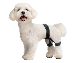 CHAMIN Dog Hip Orthotics Brace, Dog Hip Dysplasia Brace Harness, Support for Hip Dysplasia, Luxating Patella, Relieve Hip Pain, Prevent Hip Joint Diseases and Assisted orthopedics, et(Small)