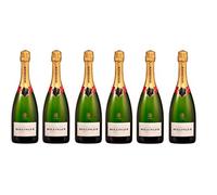 Champagne brut Special Cuvée Bollinger 75 CL