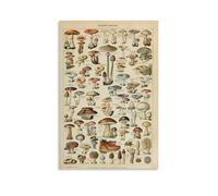 Champignon I Vintage French Mushroom Chart by Adolphe Millot Poster,Educational Artworks Picture Print Poster Wall Art Painting Canvas Decor Home Posters 08x12inch(20x30cm)