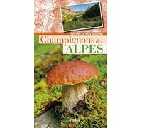 Champignons des Alpes