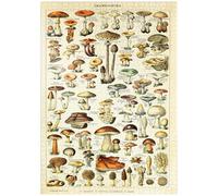 Champignons - Mushrooms For All, Vintage Art Poster, Adolphe Millot - Premium 1000 pieces Puzzle - MyPuzzle special collection from Havana Puzzle Company