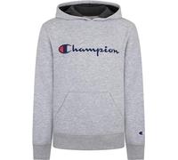 Champion Children's Clothing Youth Legacy Fleece Hoodie Sweatshirt, Signature Heather Grey, XL