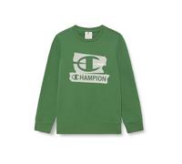 Champion Boys' Crewneck Fleece Sweater with Graphic logo, large hoodie, ultra soft, warm kids pullover, front kangaroo pocket, PE School jumper Green