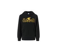 Champion Boy's Graphic Hoodie Hooded Sweatshirt