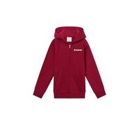 Champion Boys' Hooded Full Zip Fleece Sweater with Graphic logo, large hoodie, ultra soft, warm kids pullover, deep front pockets, PE School jumper Red