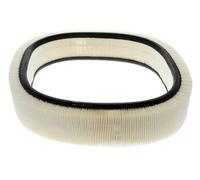 CHAMPION CAF100229R Air filter