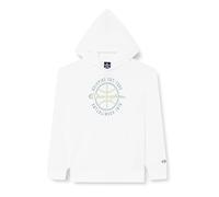 Champion Children and Young People Legacy Modern Basketball B-Spring Terry Hooded Sweatshirt, Bright Grey (RAL 7035), 9-10 Years