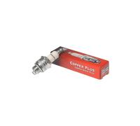 Champion Copper Plus Small Engine Spark Plug, Set of 8
