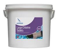 Champion Large Chlorine 200G Tablets 5Kg 5 Kg