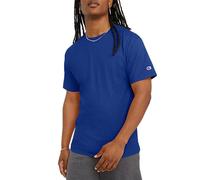 Champion Men's Classic Jersey T-Shirt, Surf The Web, XL