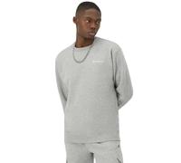 Champion Men's Crewneck, Fleece, Hoodie Sweatshirt (Reg. Or Big & Tall), Oxford Gray Small-Small Script Logo, XXL