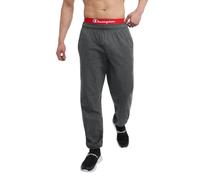 Champion Men's Everyday Cotton Closed Bottom Pant Granite Heather, XXL (P7310)
