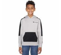 Champion mens Graphic Powerblend Fleece Hood Graphic Powerblend Fleece Hoodie, Gray/Black, XL