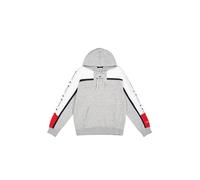 Champion Men's Legacy Retro Sport (220331) -Soft Compact Poly Fleece Hooded Sweatshirt, Grey (EM021), L