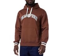 Champion Men's Rochester 1919 Bookstore-Heavy Powerblend Fleece Hooded Sweatshirt, Marrone, S