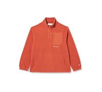 Champion Men's Rochester 1919 Eco Future-Recycled Polar Half Zip Sweatshirt, Terra Bruciata, L