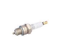 CHAMPION OE007/T10 Spark plug