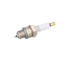CHAMPION OE007/T10 Spark plug