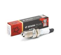 CHAMPION OE014/T10 Spark plug