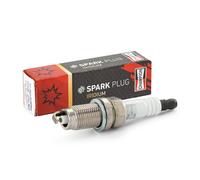 CHAMPION OE260 Spark plug