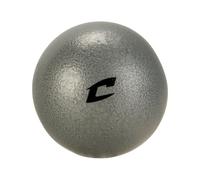 Champro 2.7 kg/6 LB Cast Iron