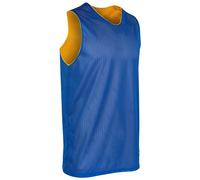 CHAMPRO Polyester Reversible Basketball Jersey, Youth Medium, Royal, Gold