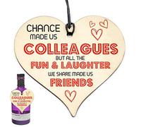 Chance Made Us Colleagues Heart Plaque Sign Friendship FRIEND Gin Bottle Gift Tag Thank you #959