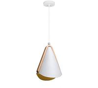 Chandelier Boutique Decoration E27/E26 Chandelier White Matte Finish Pendant Light Living Room Decoration Store Hanging Lighting Fixture Embedded Installation Power Supp