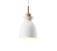 Chandelier Chandelier, Creative Personality Metal Pendant Light, Nordic Style Single Head Ceiling Hanging Lamp, Restaurant Cafe Decorat Lighting Fixture(White,Type A)