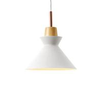 Chandelier Chandelier, Creative Personality Metal Pendant Light, Nordic Style Single Head Ceiling Hanging Lamp, Restaurant Cafe Decorat Lighting Fixture(White,Type B)
