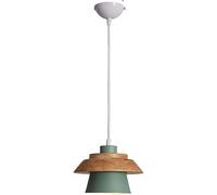 Chandelier Pendant Light Modern Minimalist Ceiling Hanging Lighting Fixture E26 E27 Base 1 Light Compatible with Dining Room Living Room,Easy to Install