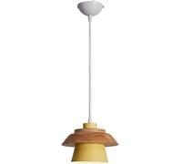 Chandelier Pendant Light Modern Minimalist Ceiling Hanging Lighting Fixture E26 E27 Base 1 Light Compatible with Dining Room Living Room,Easy to Install