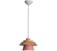 Chandelier Pendant Light Modern Minimalist Ceiling Hanging Lighting Fixture E26 E27 Base 1 Light Compatible with Dining Room Living Room,Easy to Install
