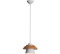 Chandelier Pendant Light Modern Minimalist Ceiling Hanging Lighting Fixture E26 E27 Base 1 Light Compatible with Dining Room Living Room,Easy to Install