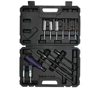 CHANG QI 19pcs Injector Seat Cleaner,Shaft Cleaning Injector Cleaning Kit, injection nozzles with steel wire cleaning brushes and nylon brushes