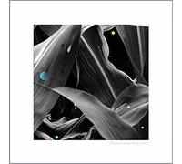 CHANGING LANDSCAPES (WAUTERS F - ARTHUR KING