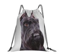 CHANGLEI Cute Schnauzer Dog Large Casual Drawstring Backpack With Print,Water-Resistant Polyester,Lightweight Durable,Black Contrast Back For Gym,Yoga,Travel