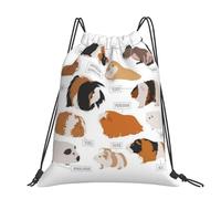 CHANGLEI Infographic For Types Of Rodent Breeds Large Casual Drawstring Backpack With Print,Water-Resistant Polyester,Lightweight Durable,Black Contrast Back For Gym,Yoga,Travel