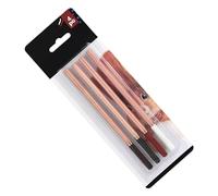 Changor Color Sketching Pencils Vibrant Set for Lifelike Portraits, Mixing for Beginners, Students, Kids, CraftGift - Birch Wood [4 Pieces]