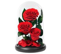 Changshunqi Flowers Birthday Gift for Women Forever Real Flowers in Acrylic Dome Preserved Roses Flower Womens Birthday Gifts for Women Her Sister Best Friend for Mom Grandma Wife