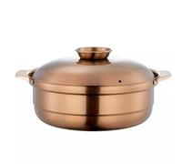 Chanliwa Stainless Steel Induction Pan - Large Cooking Pot with Lid, Ideal for Masterclass Cookware and Preserving (28cm/11.02in 1 Type)