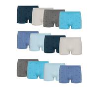 Channo Boys' Fitted Boxer Briefs in Seamless, Soft and Comfortable - Pack of 12, Palms, 2-4 Years
