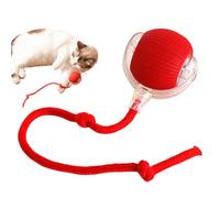 Chansunokku Interactive Cat Toy, Cat Ball, Interactive Ball Toy, Self-Employment, 360° Automatic Rolling Smart Ball, Intelligence Cat Toy Ball for Cats, Dogs (Red)