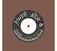 Chant Down Babylon [7" VINYL]