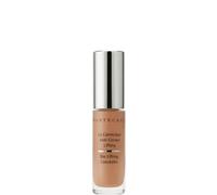 Chantecaille Bio Lifting Concealer (Various Shades) - 7C Tamarind