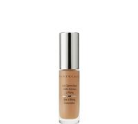 Chantecaille Bio Lifting Concealer (Various Shades) - 7W Carob