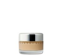 Chantecaille Future Skin Oil-Free Foundation 1 oz. - Shea