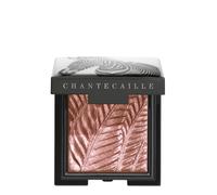 Chantecaille Luminescent Eye Shades - Zebra