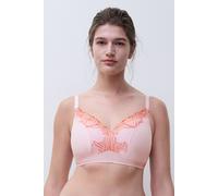 Chantelle Legend Bra Multicolor size F70 | Bras Outlet | Women F70